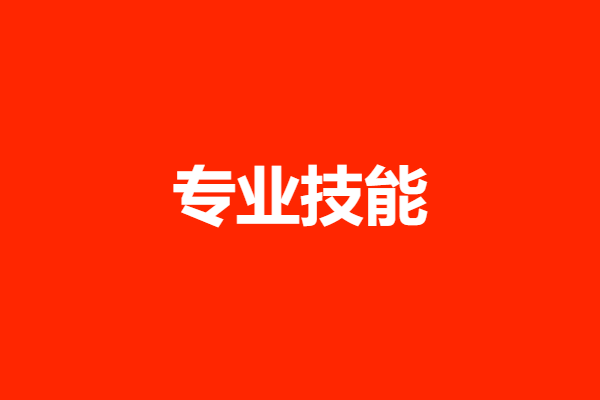 专业技能